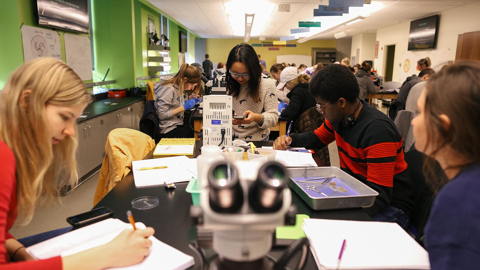 EEOB3320 students working on dissections