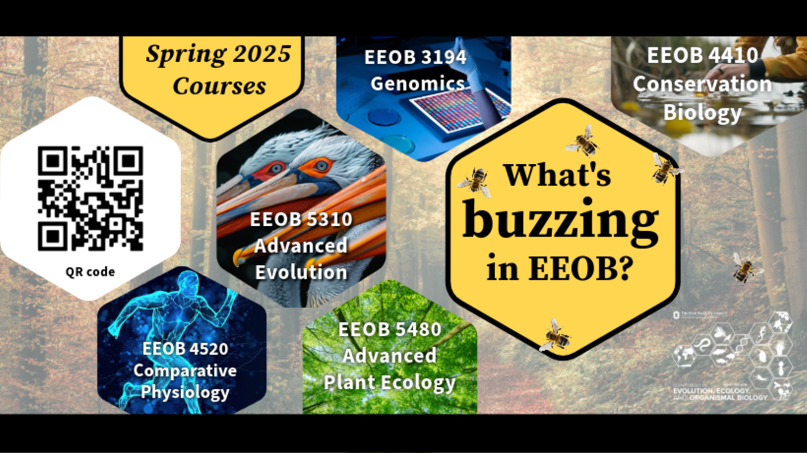 What's buzzing in EEOB ad detailing featured EEOB classes for SP25 highlighted in hexagons along with QR code