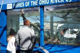 giant aquarium filled with native Ohio fish outside of MBD