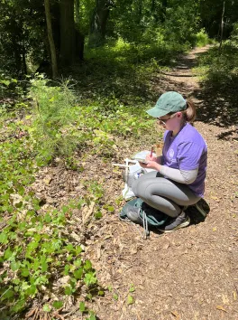 Sarah white kneeling on path and taking notes in the field