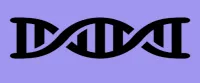 black DNA schematic on purple background