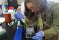 student bent over lab bench using pipeter